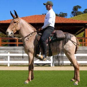 Lote 32 - VANGUARDA DOS COQUEIROS