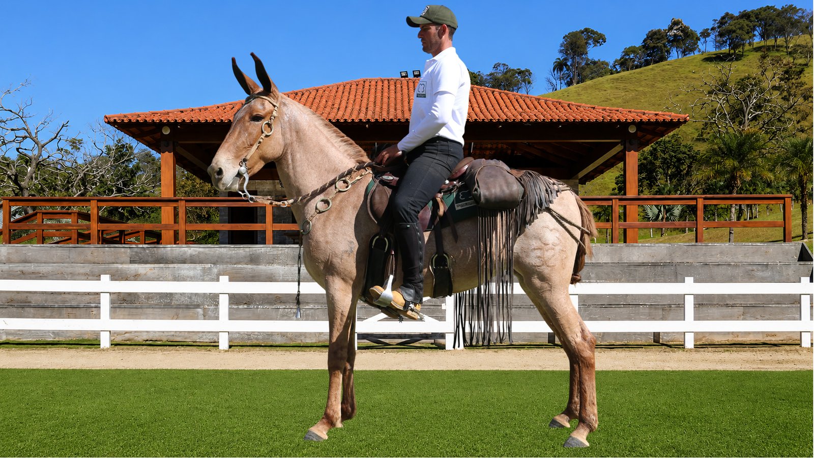 Lote 32 – VANGUARDA DOS COQUEIROS
