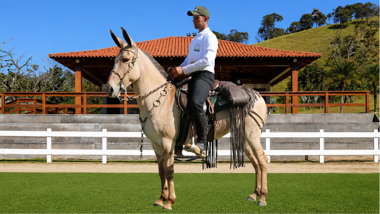 Lote 33 – VITRINE DOS COQUEIROS