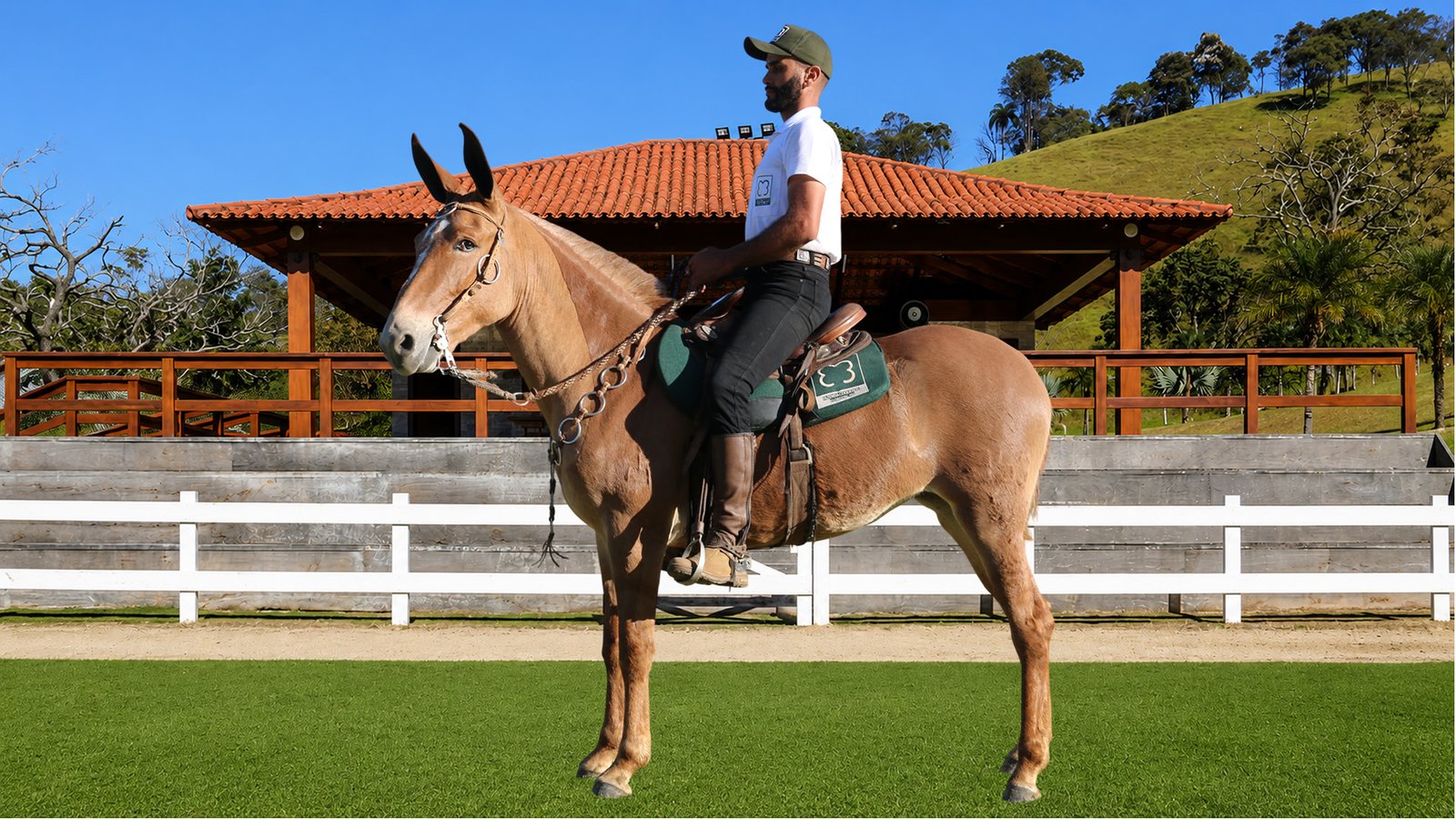 Lote 34 – XEPA DOS COQUEIROS