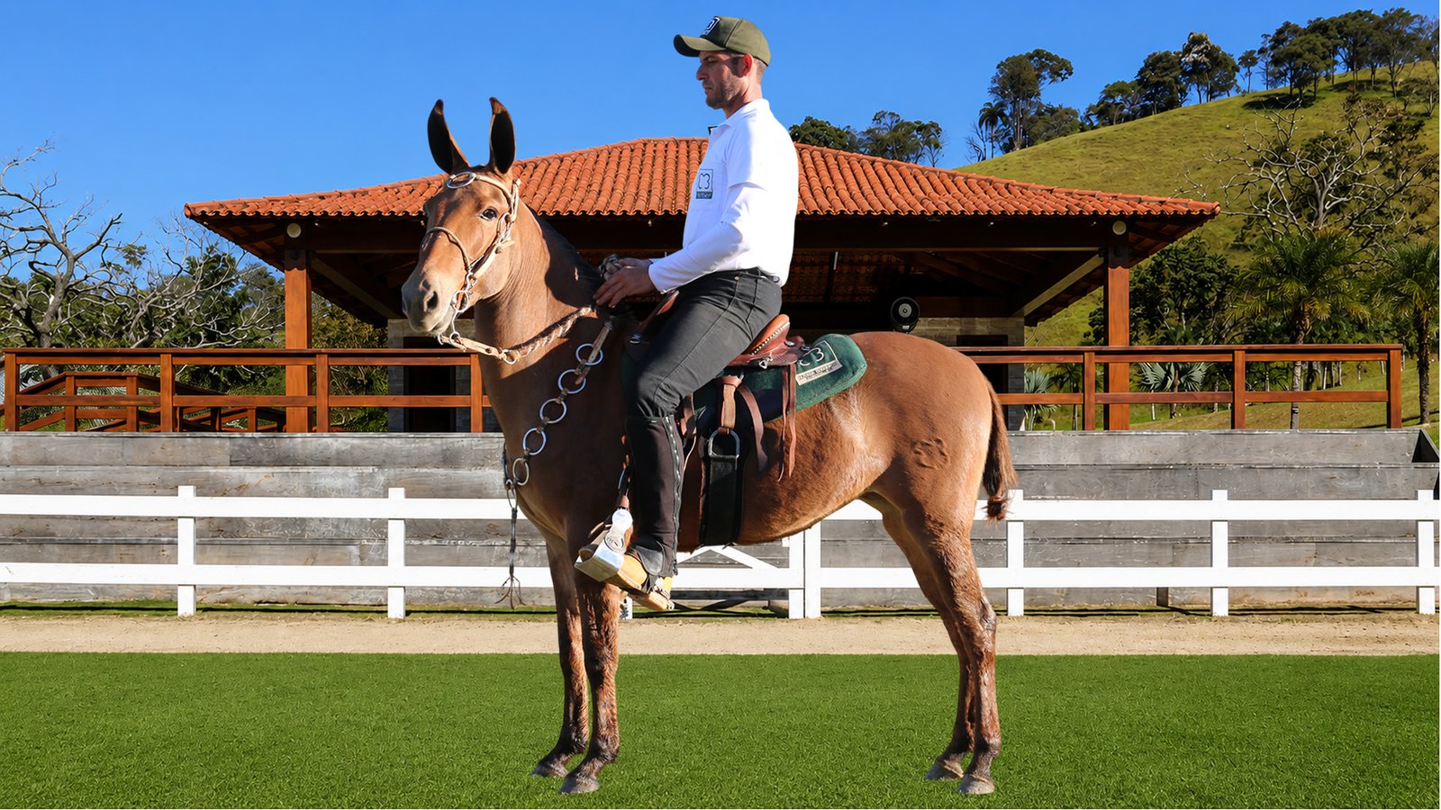 Lote 35 – ZAIRA DOS COQUEIROS