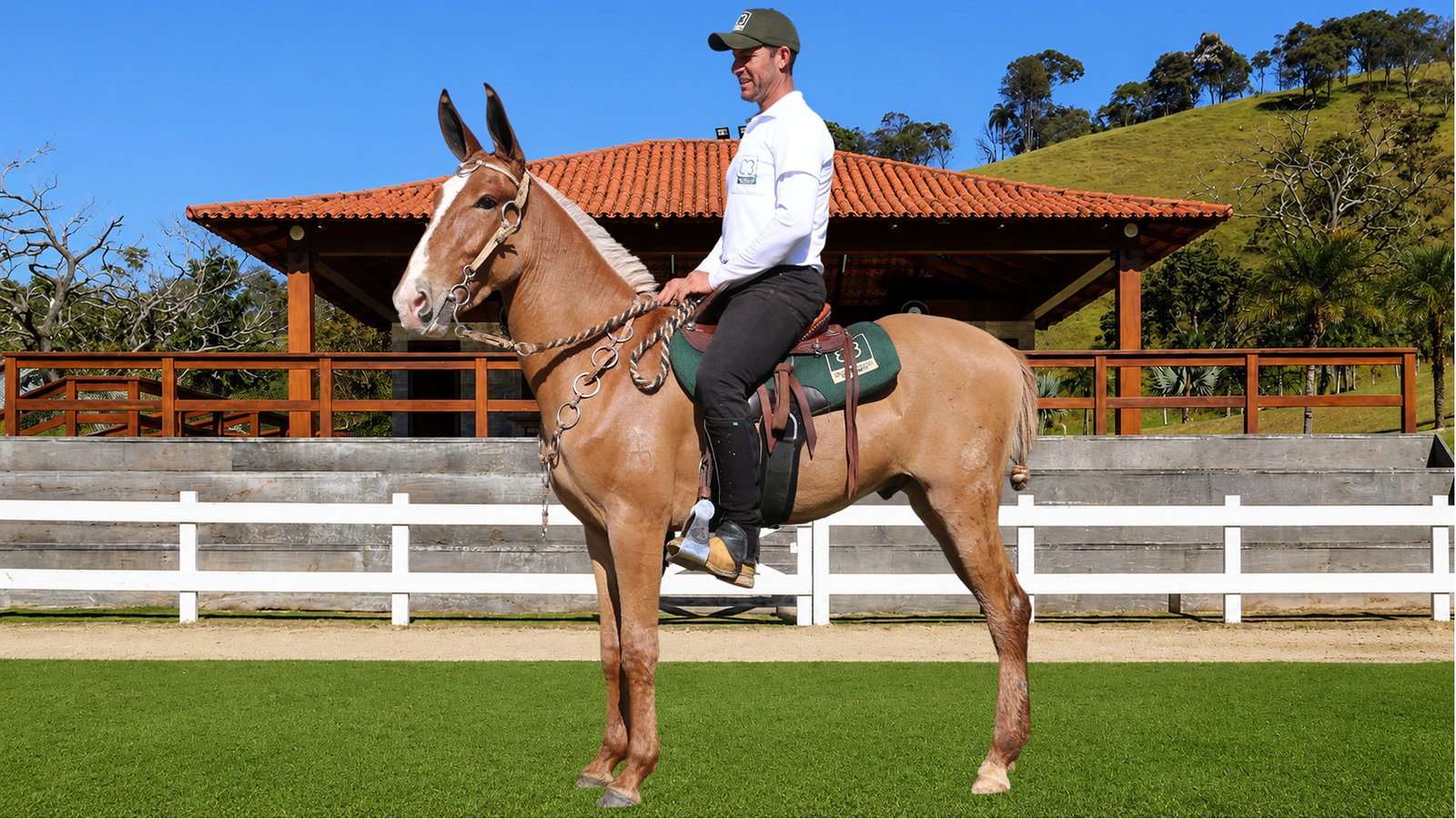 Lote 38 – ZERADO DOS COQUEIROS