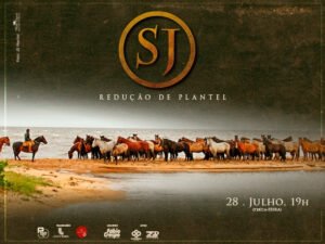 leilao-fazenda-sj-reducao-de-plantel