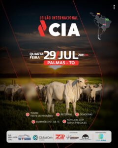 leilao-internacional-cia