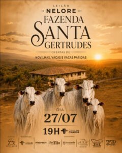 leilao-nelore-fazenda-santa-gertrudes