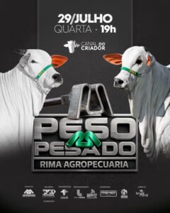 leilao-peso-pesado-rima-agropecuaria