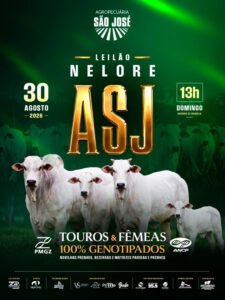 1-leilao-nelore-asj