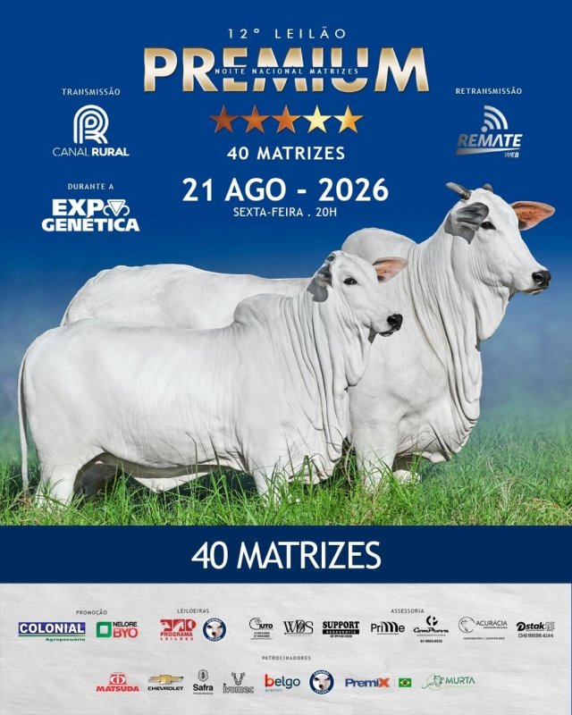12º Leilão Noite Nacional Matrizes Premium