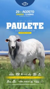 16-leilao-paulete-agropecuaria-reprodutores