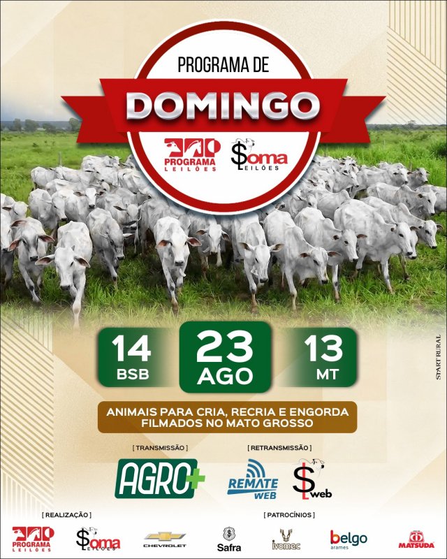 162° Programa de Domingo – Programa e Soma Leilões