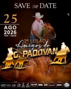2-leilao-amigos-do-padovan