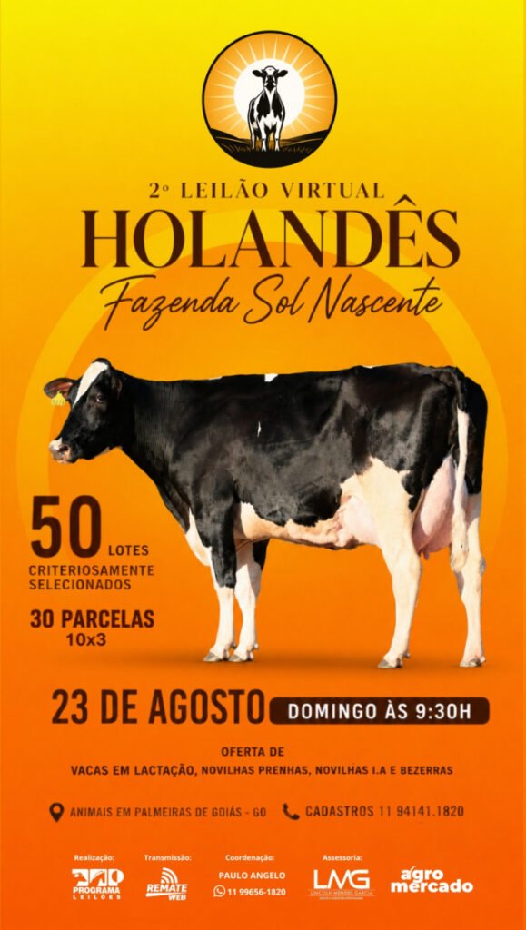 2º Leilão Virtual Holandês Fazenda Sol Nascente