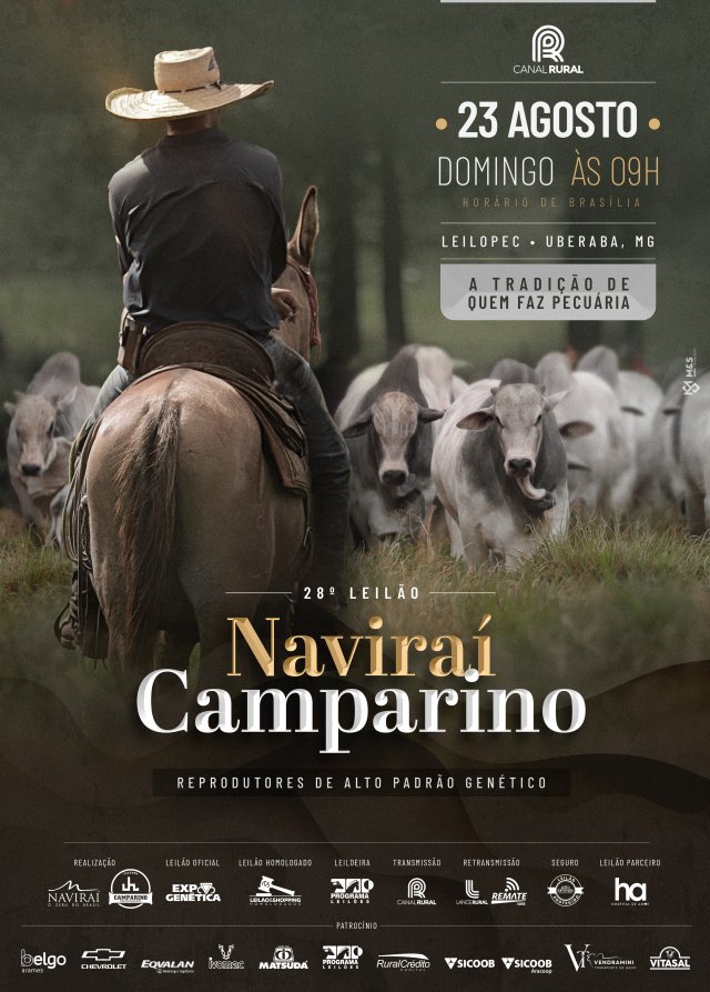 28º Leilão Naviraí Camparino – Reprodutores