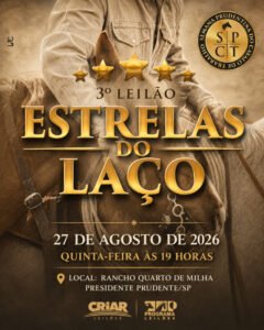 3-leilao-estrelas-do-laco