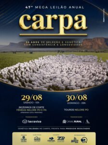 47-mega-leilao-anual-carpa-touros