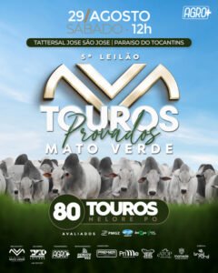 5-leilao-touros-provados-mato-verde