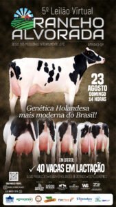 Transmissão