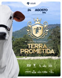 6-leilao-virtual-terra-prometida