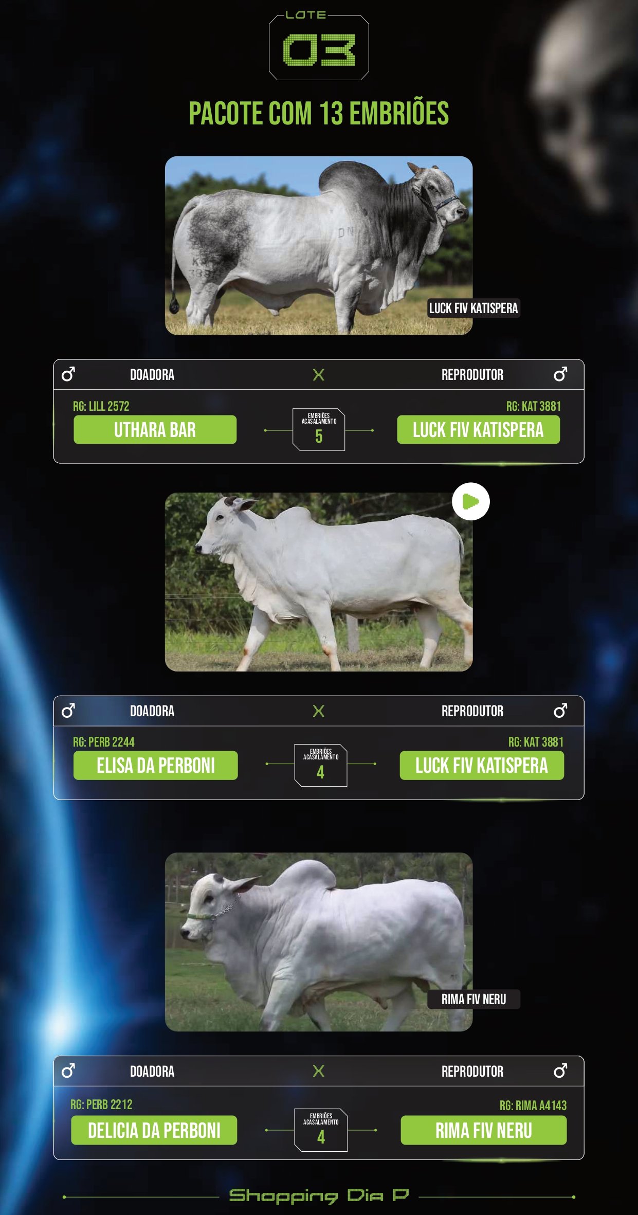 LOTE 03 – PACOTE COM 13 EMRBIÕES