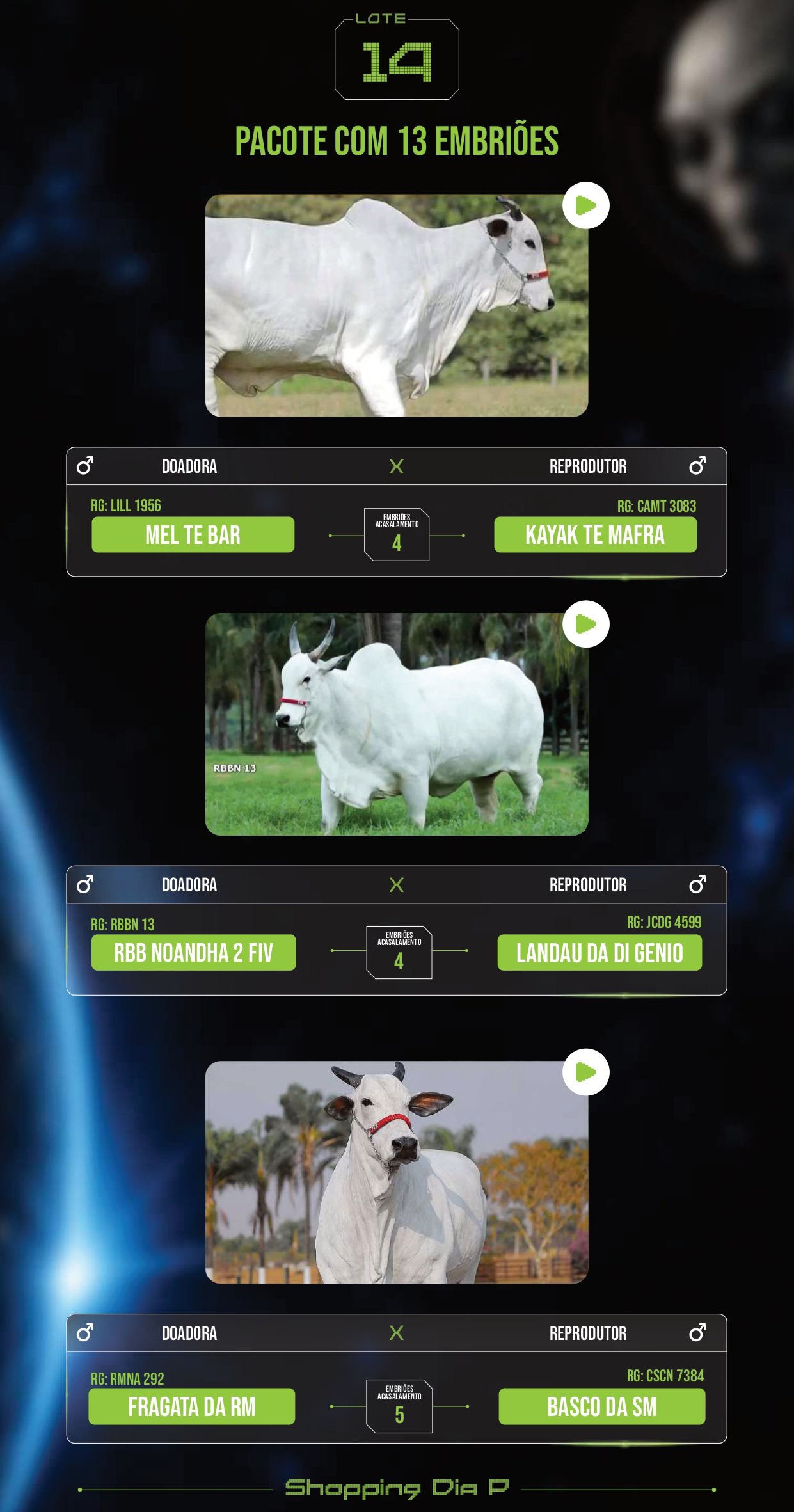 LOTE 14 – PACOTE COM 13 EMBRIÕES