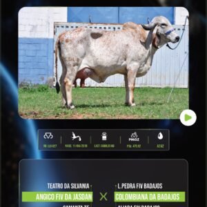 LOTE 01 – CORTESIA FIV BADAJOS (Vaca 100%)