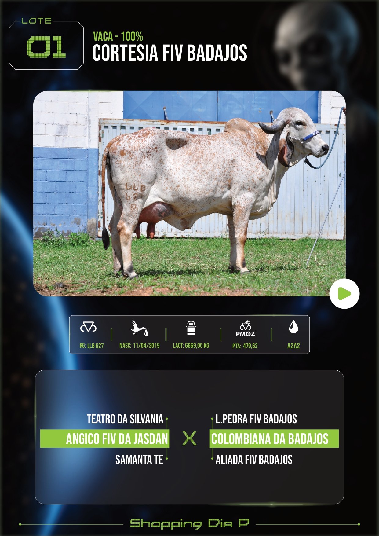 LOTE 01 – CORTESIA FIV BADAJOS (Vaca 100%)
