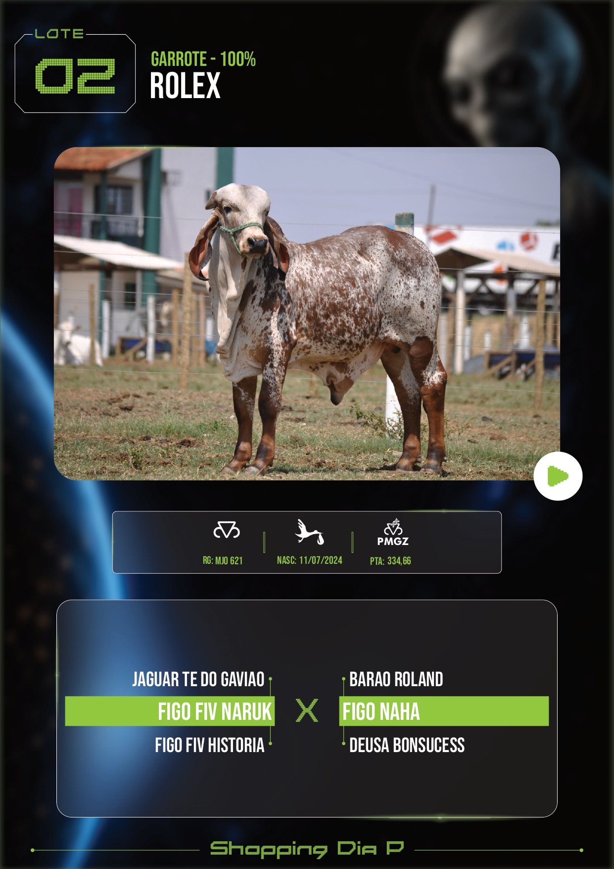LOTE 02 – ROLEX (Garrote 100%)