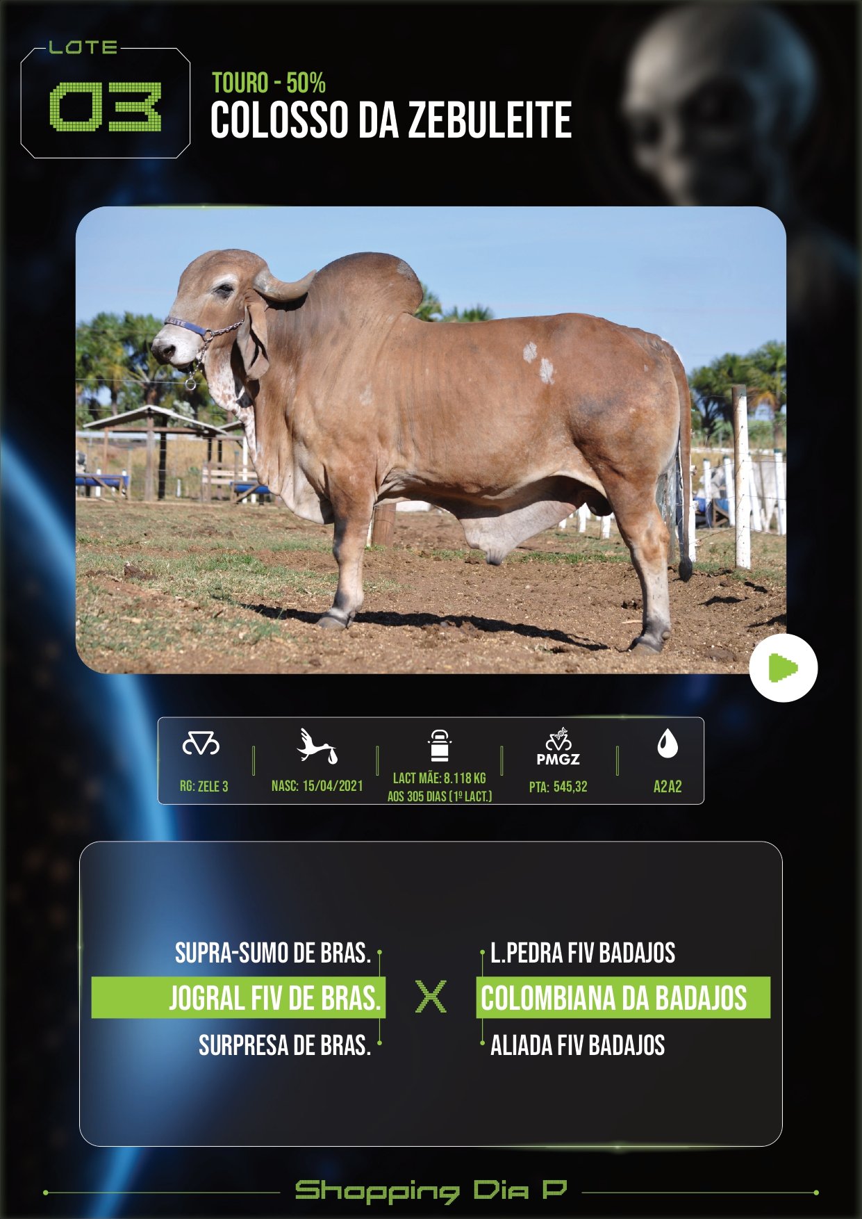 LOTE 03 – COLOSSO DA ZEBULEITE (touro – 50%)