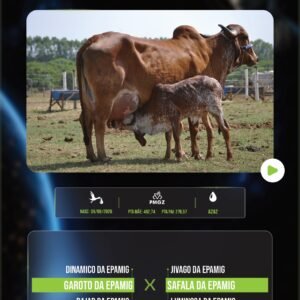 LOTE 04 - BEZERRA (BEZERRA – 100%)