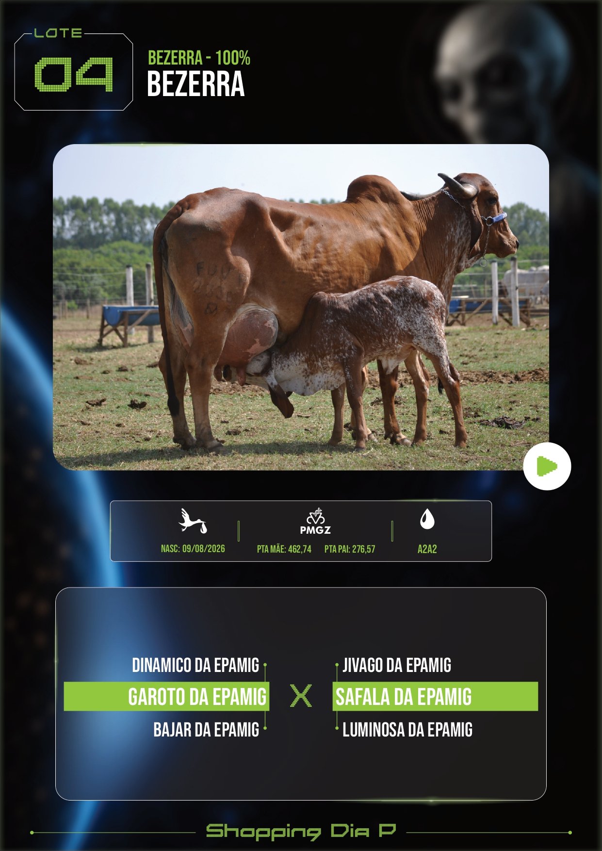 LOTE 04 – BEZERRA (BEZERRA – 100%)