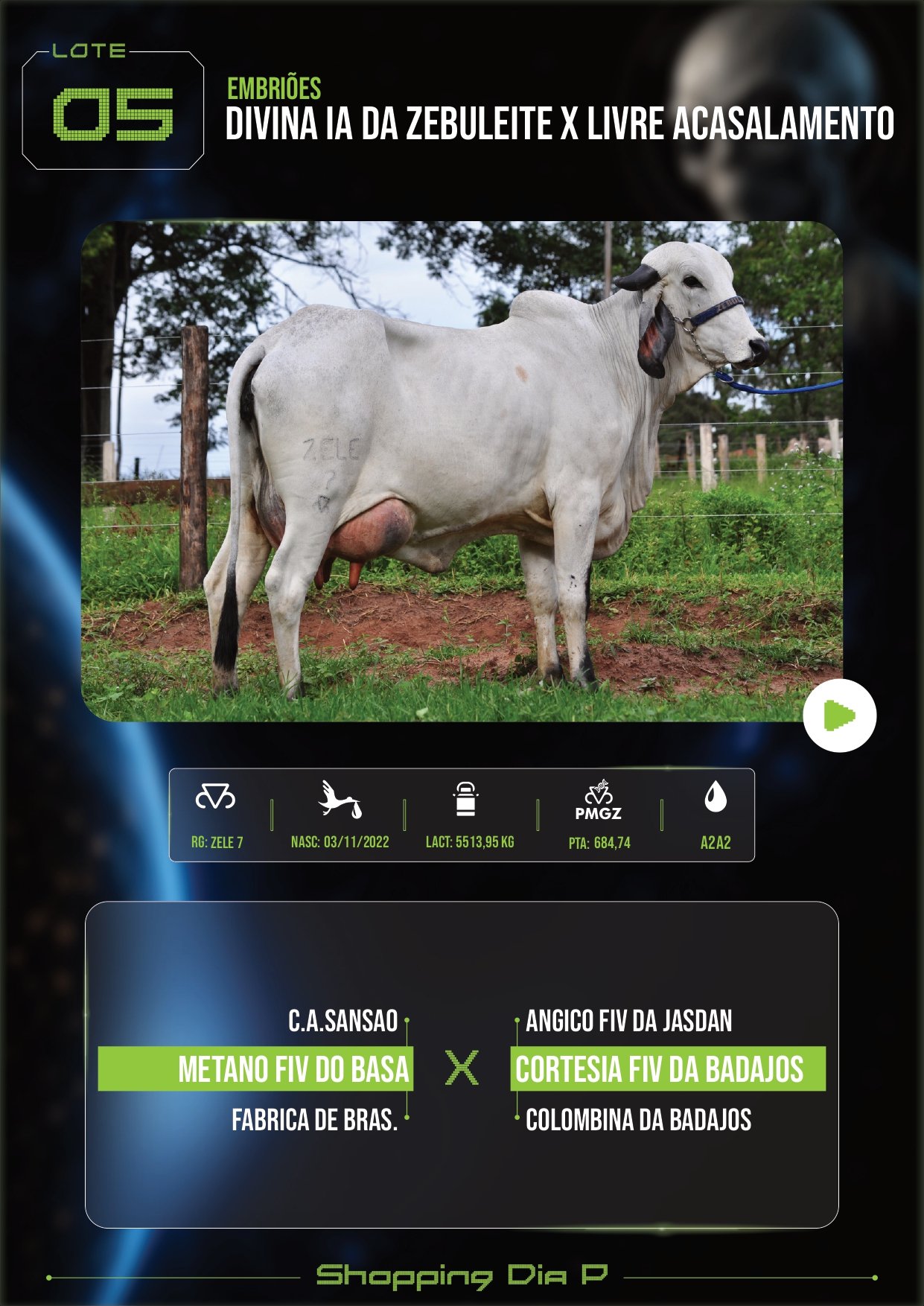 LOTE 05 – DIVINA IA DA ZEBULEITE X LIVRE ACASALAMENTO (EMBRIÕES)