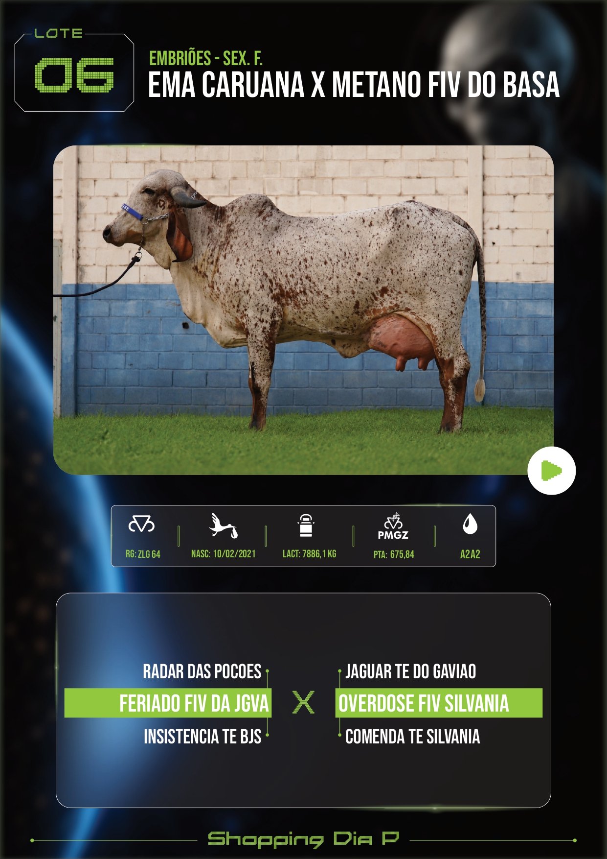 LOTE 06 – EMA CARUANA X METANO FIV DO BASA (EMBRIÕES – sex. f.)