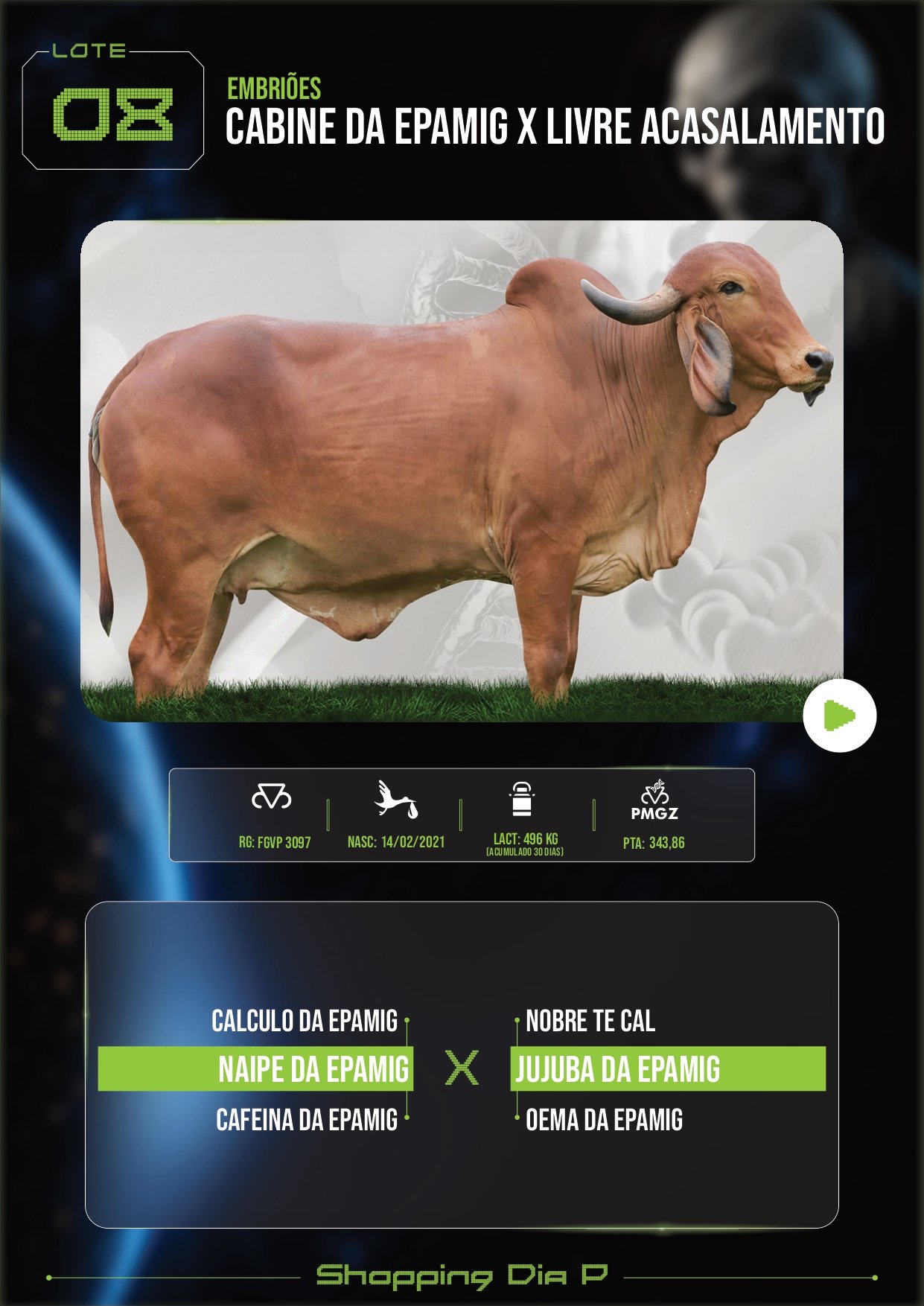 LOTE 08 – CABINE DA EPAMIG x LIVRE ACASALAMENTO (EMBRIÕES)