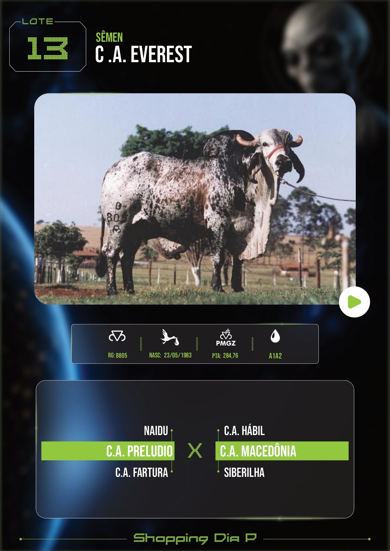 LOTE 13 – C .A. EVEREST (SÊMEN)