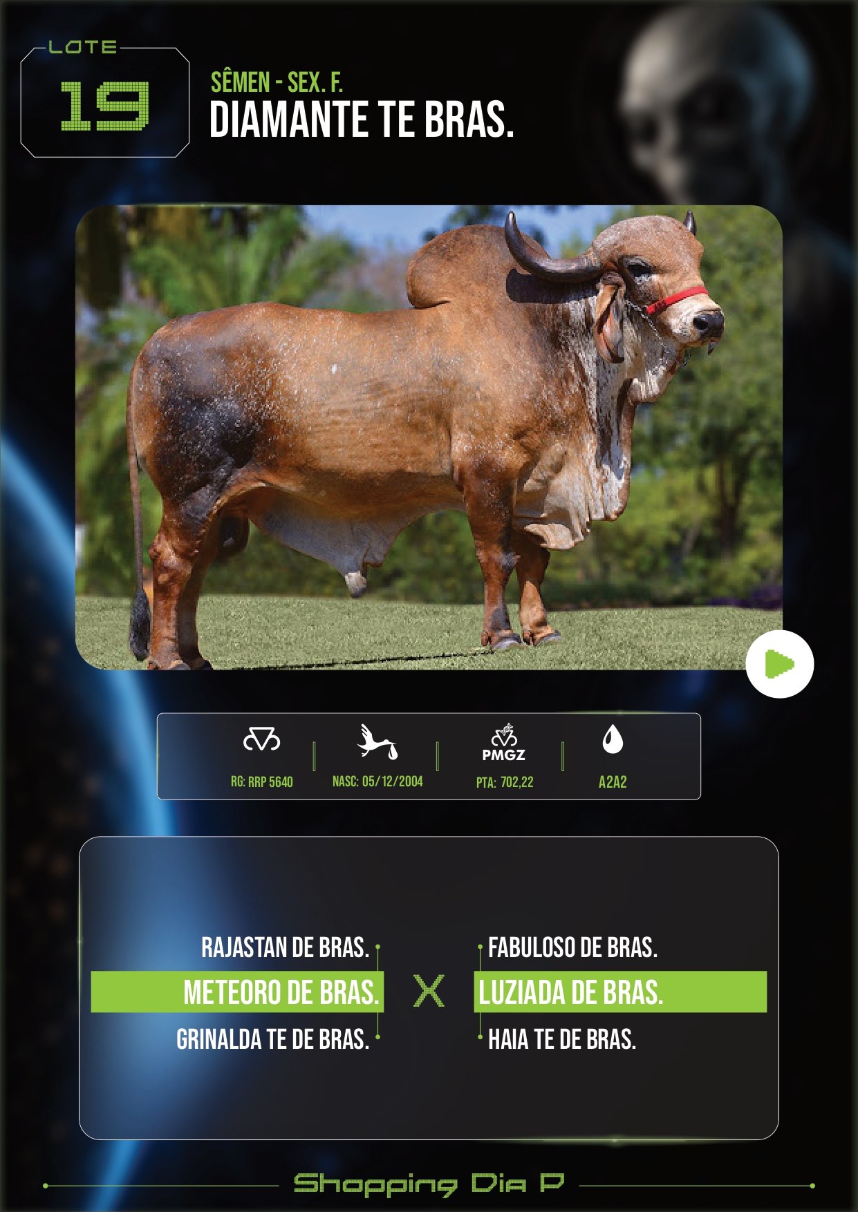 LOTE 19 – DIAMANTE TE BRAS. (SÊMEN – sex. f.)