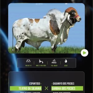 LOTE 21 - ENLEVO DA SILVANIA (SÊMEN - sex. f.)