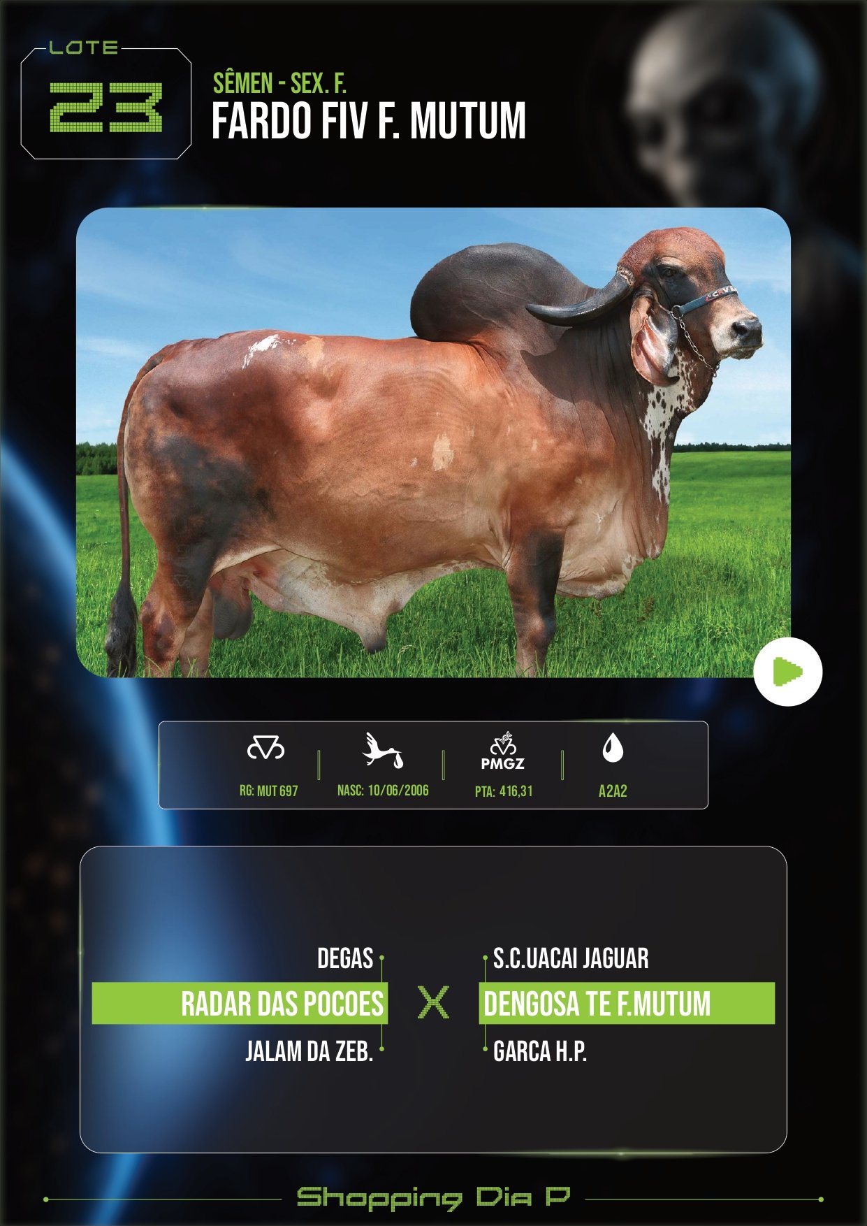 LOTE 23 – FARDO FIV F. MUTUM (SÊMEN – sex. f.)