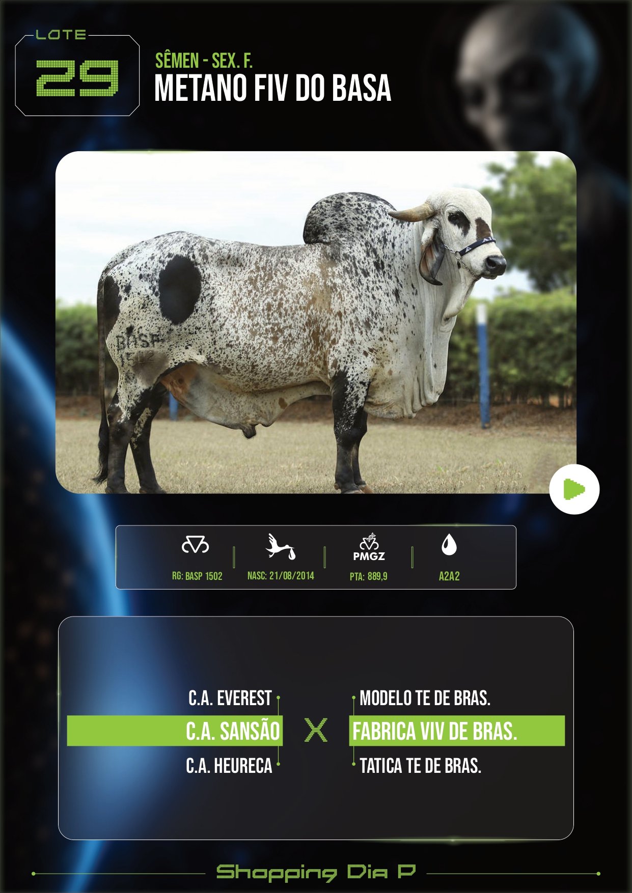 LOTE 29 – METANO FIV DO BASA (SÊMEN – sex. f.)