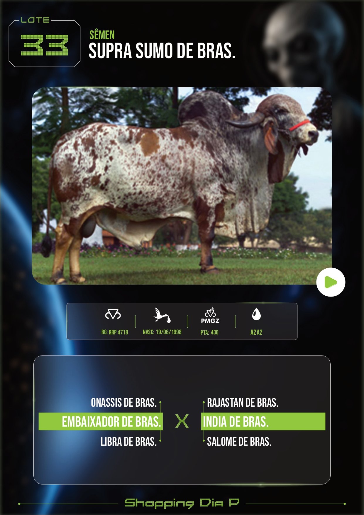 LOTE 33 – SUPRA SUMO DE BRAS. (SÊMEN)