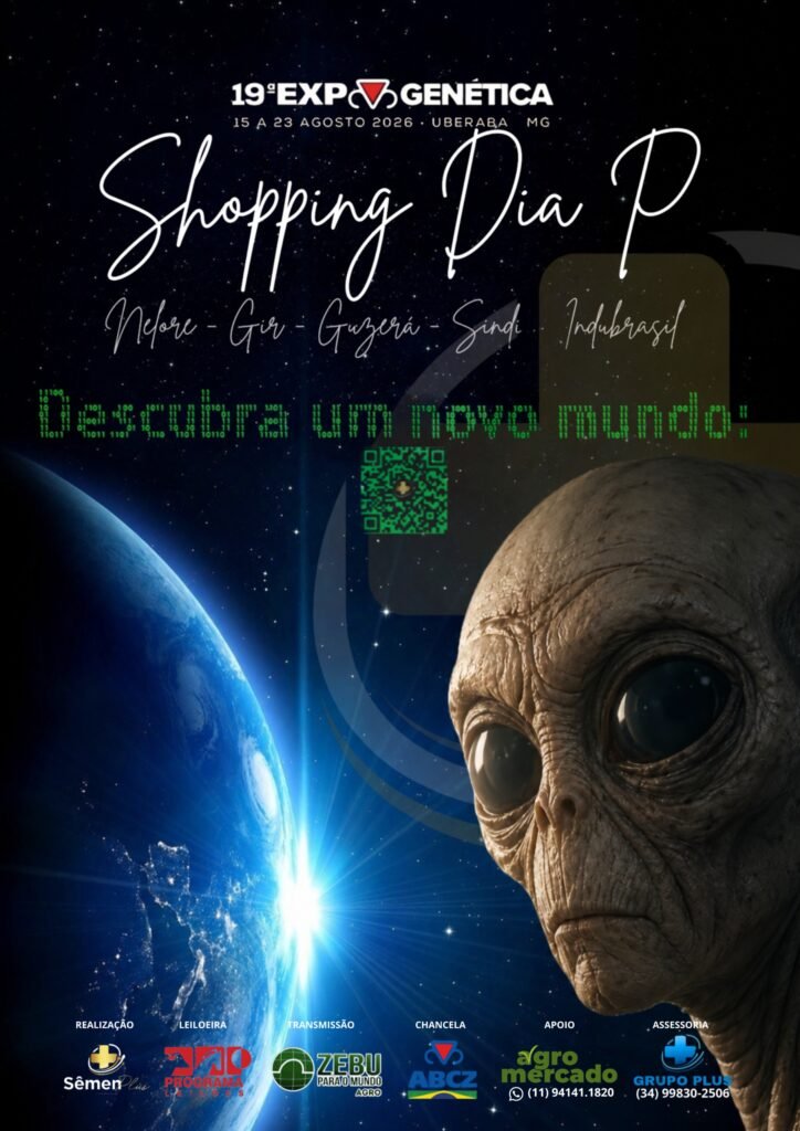Shopping Dia P