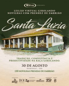 girolando-santa-luzia