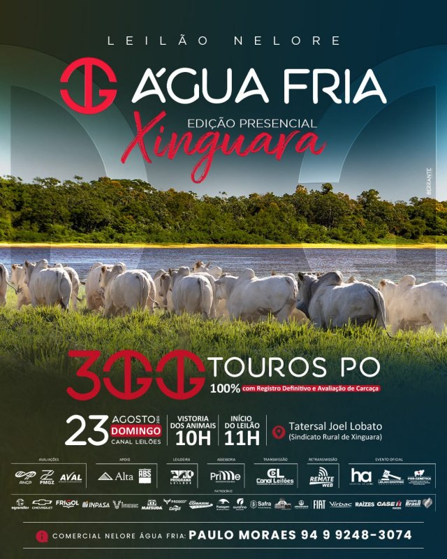 Leilão Água Fria – Edição Xinguara