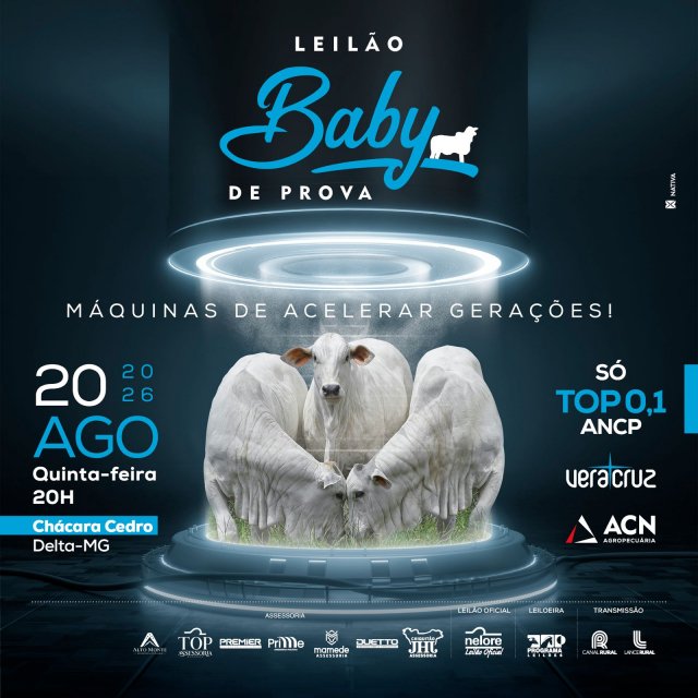 Leilão Baby de Prova – Máquinas de Acelerar Gerações