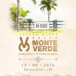 Lote 01