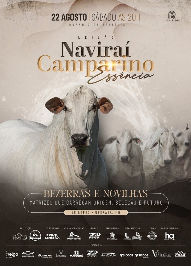 Leilão Naviraí Camparino – Matrizes Essência