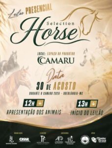 leilao-selection-horse