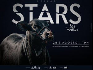 leilao-stars-by-agroottoni-expointer-2026