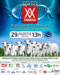 leilao-virtual-genetica-varrela-reprodutores-e-matrizes
