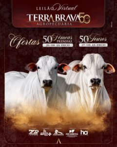 leilao-virtual-touros-terra-brava