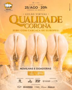 virtual-matrizes-corona